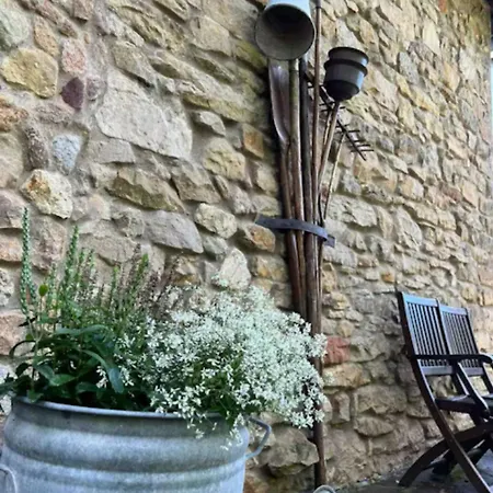 Ferienhaus Eifeltraum Auf 250 Qm Blick Ins Gruene