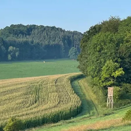 Eifeltraum Auf 250 Qm Blick Ins Gruene * Blankenheim (North Rhine-Westphalia)