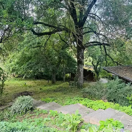 Eifeltraum Auf 250 Qm Blick Ins Gruene