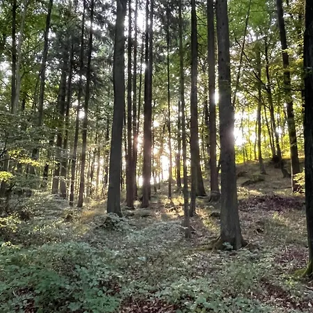 Eifeltraum Auf 250 Qm Blick Ins Gruene Ferienhaus Blankenheim (North Rhine-Westphalia)